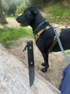 IMG_1601.jpeg