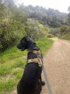 IMG_1606.jpeg