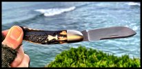 IMG_1932.jpeg