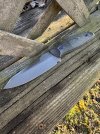 IMG_2382.jpeg