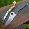 Spyderco Stretch 2 ZDP.jpg