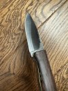 IMG_3727.jpeg