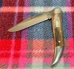 IMG_3133.jpeg