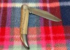 IMG_3134.jpeg