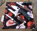 2024-02-27 BJB Boker USA GEC34 Remington Jack Sage5LW.JPG