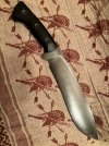 IMG_4768.jpeg