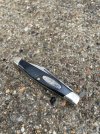 IMG_7335.jpeg