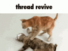 1000011233.gif