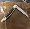 GEC 13 whip stag b.jpg