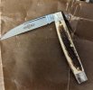 GEC 13 whip stag c.jpg