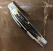 GEC 13 whip stag d.jpg