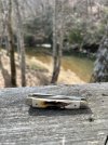 IMG_2151.jpeg