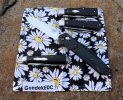 2024-02-28 WW Empire Jack GEC39 CASE TB Eureka Jack BM940.JPG