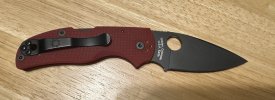 IMG_3386.jpeg