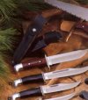 93.Catalog.2.Sheaths.jpg