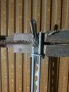 IMG_1131.jpeg