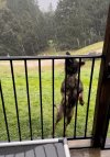 IMG_7432.jpeg