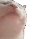 IMG_8565.GIF