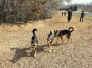 20240302_105628.jpg