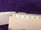 ImageUploadedByTapatalk1390248223.990890.jpg ImageUploadedByTapatalk1390248223.990890.jpg