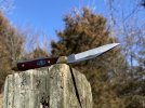 rosewood303 9.JPG