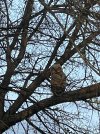 IMG_7397.jpeg
