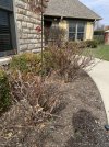 IMG_2657.jpeg