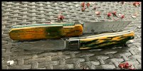 IMG_2078.jpeg