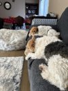 IMG_4944.jpeg