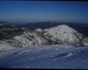 IMG_2494.jpeg