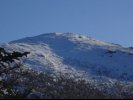 IMG_2493.jpeg