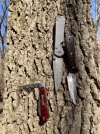 IMG_3275.jpeg