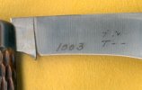 Pruning SaSa 3.jpg