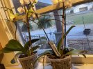 IMG_5004.jpeg
