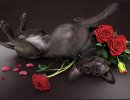 D4850B34-3D7C-4466-BED9-DD107C4C6AEC.jpeg