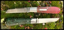 IMG_2207.jpeg
