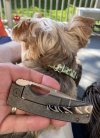 IMG_8070.jpeg