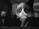 IMG_6522.gif