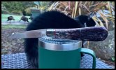 IMG_2253.jpeg