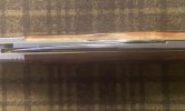 IMG_2394.jpeg