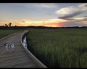 IMG_2190.jpeg