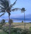 IMG_6803.jpeg