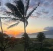 IMG_6860.jpeg