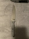 IMG_1403.jpeg