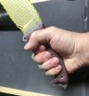IMG_2842.jpeg