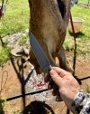 IMG_3439.jpeg