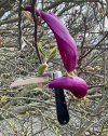 IMG_0020.jpeg