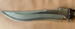 IMG_5954.jpeg