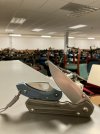 IMG_3407.jpeg