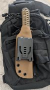 Koyote5.jpg